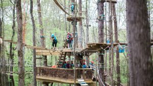 This image portrays Treetop Zipline Adventure by Navitat Knoxville.
