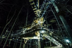 This image portrays Zipline at Night: Discovering the Aerial Magic of Knoxville, TN by Navitat Knoxville.
