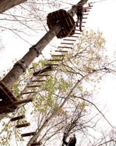 Vertical ladder between two tree platforms