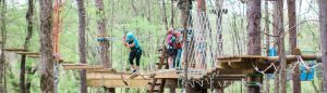 Participants on the Treetop Zipline Adventure