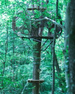 Nest tree house structure